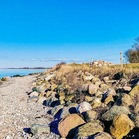Dom wakacyjny 4 Star In Nordborg